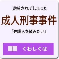 成人刑事事件